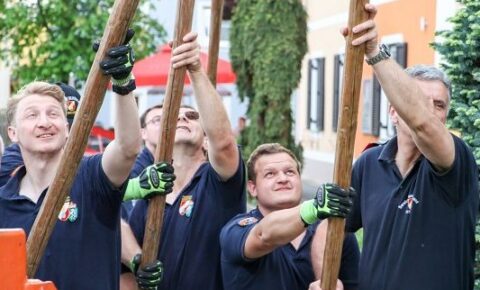 FF Maibaum Zuschnitt
