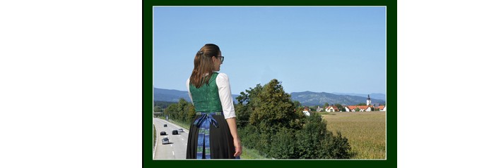 header v1 Zweiger BUch