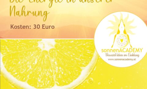 header-Workshops_2025_2309