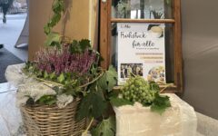 header-IMG_8012