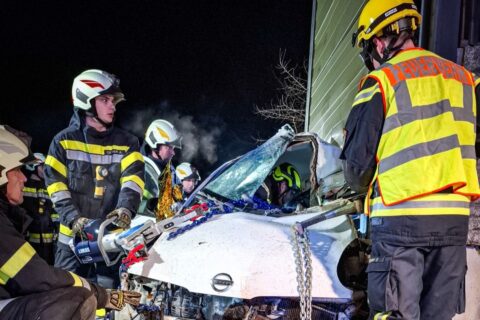 header-20260124_024653