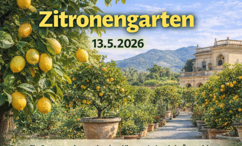 header-Flyer Zitronengarten