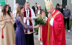 header-IMG_3729