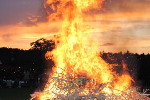 header-IMG_3995