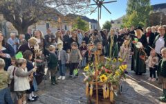 header-IMG_1294