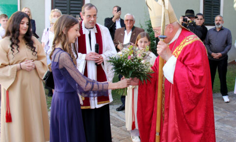 header-IMG_3729